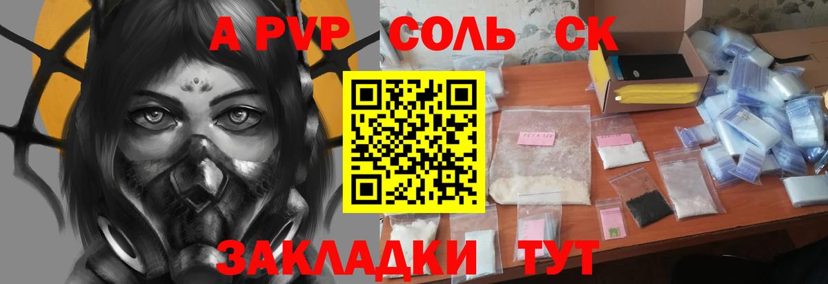 Alfa_PVP СК Сосновый Бор