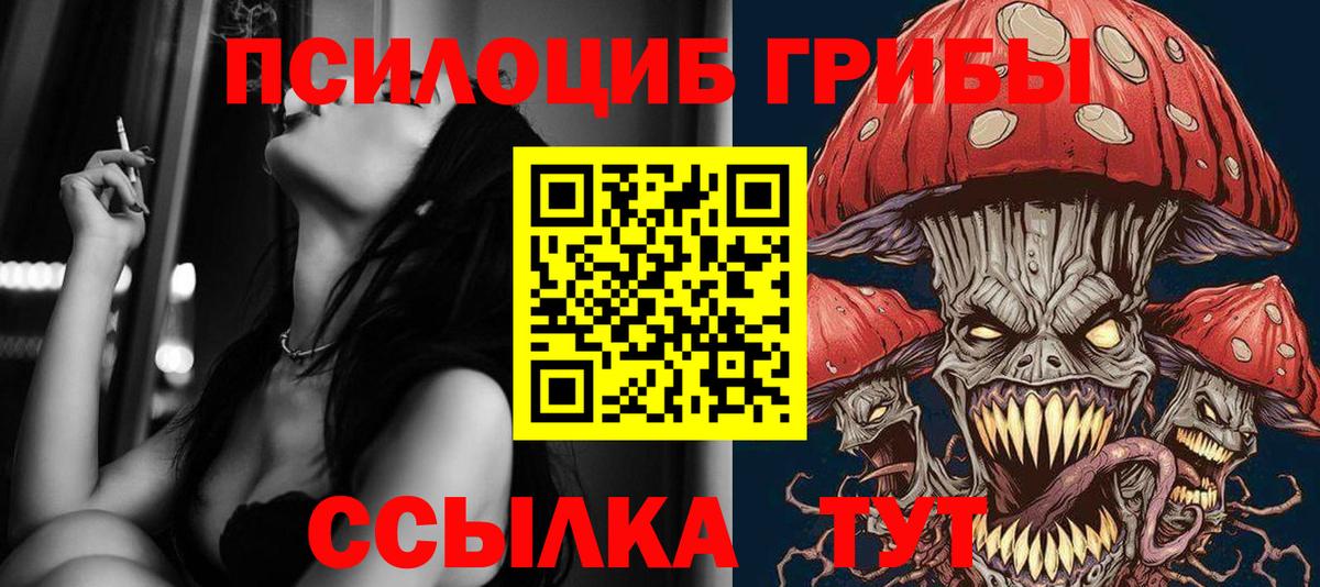 Галлюциногенные грибы ЛСД Сосновый Бор